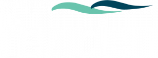 fender logo 